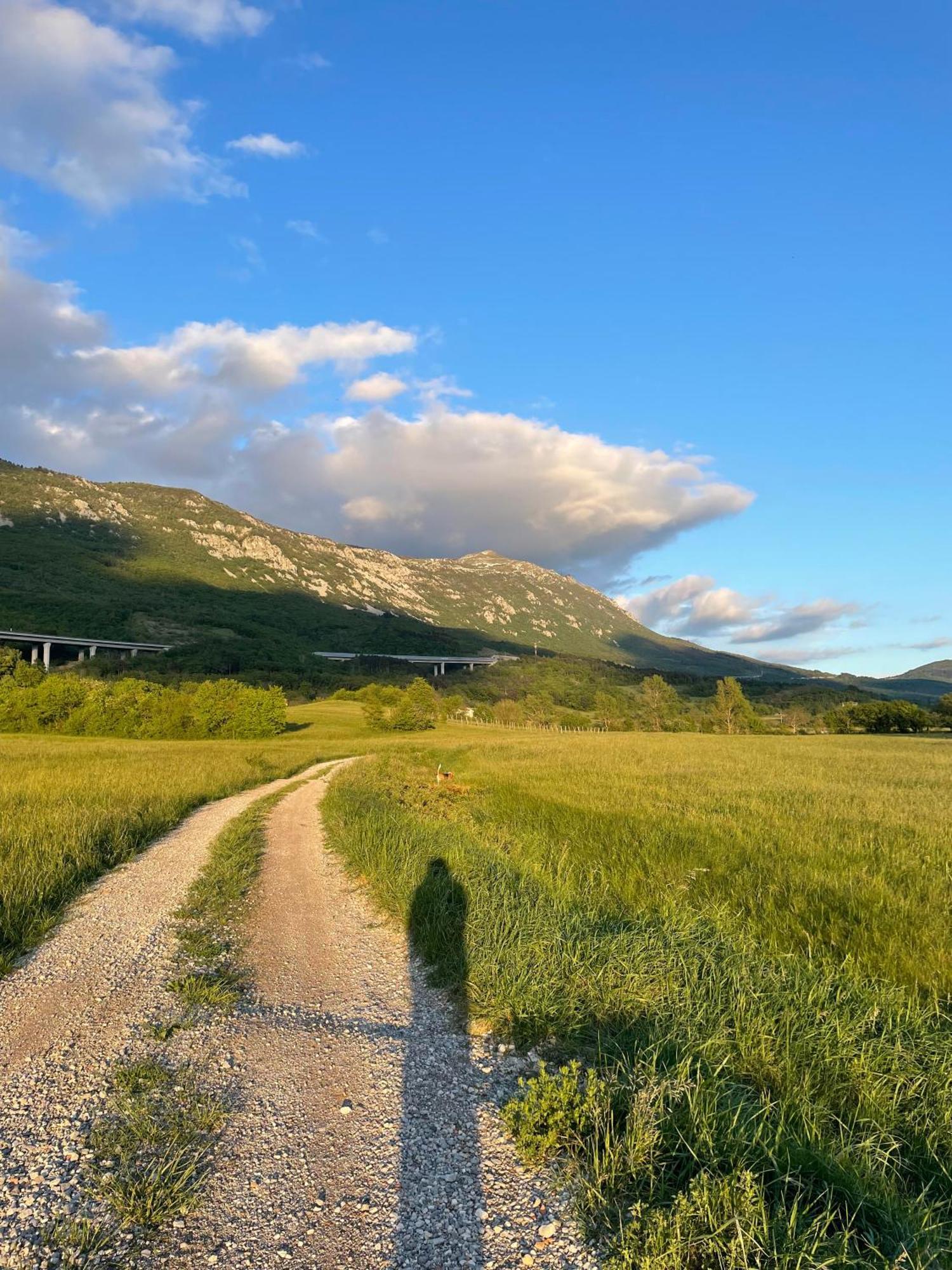Homestead - Domacija - Nabergoj Podnanos ภายนอก รูปภาพ