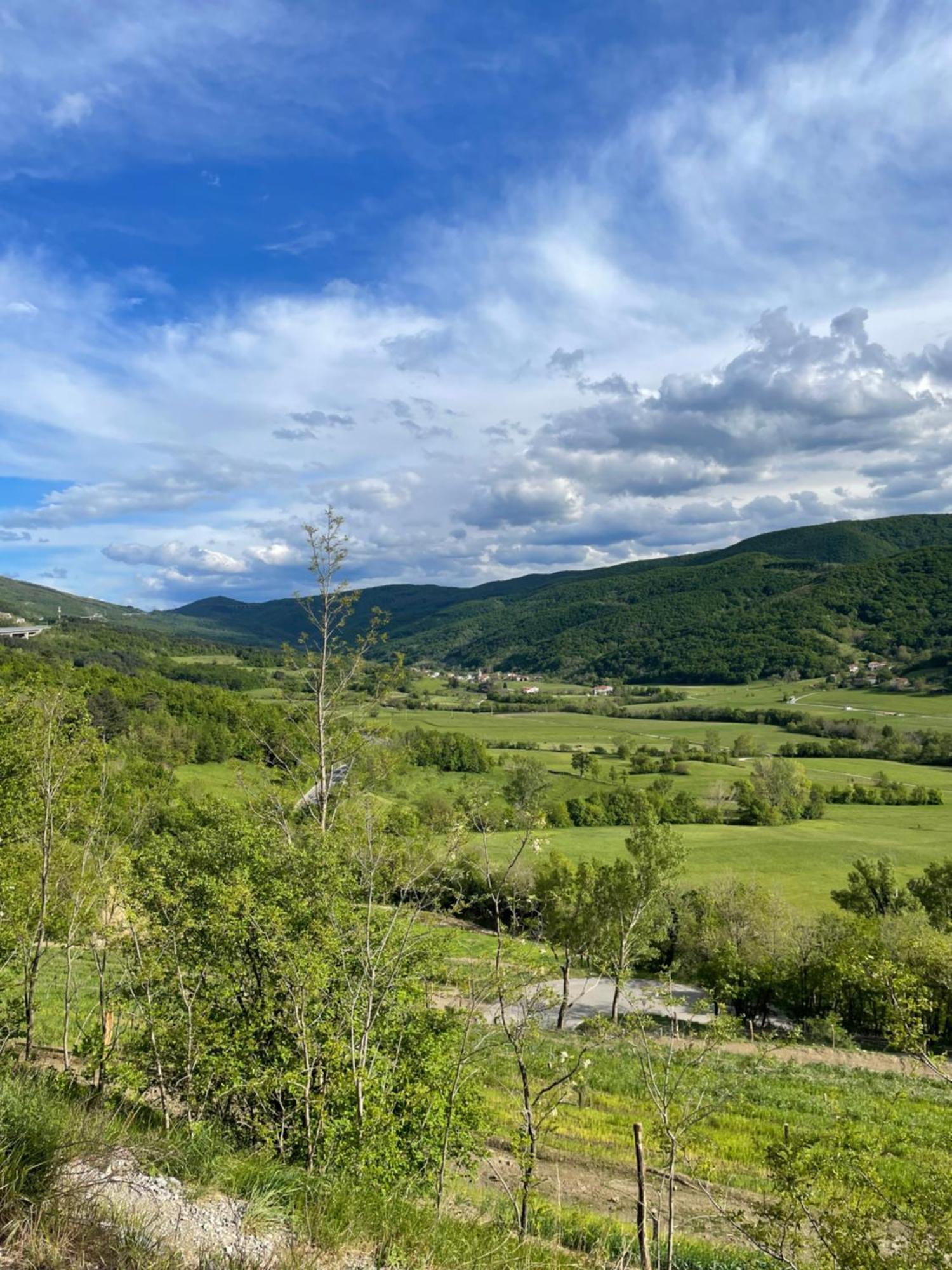 Homestead - Domacija - Nabergoj Podnanos ภายนอก รูปภาพ